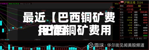 最近【巴西铜矿费用,巴西铜矿费用行情】