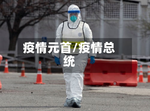 疫情元首/疫情总统-第2张图片