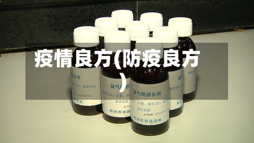 疫情良方(防疫良方)-第2张图片