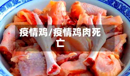 疫情鸡/疫情鸡肉死亡