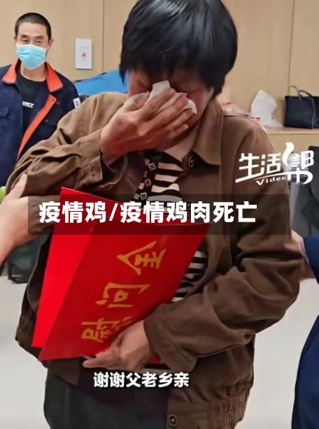 疫情鸡/疫情鸡肉死亡-第2张图片