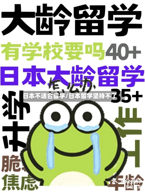 日本不适合留学/日本留学坚持不了-第2张图片