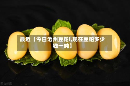 最近【今日沧州豆粕i,现在豆粕多少钱一吨】