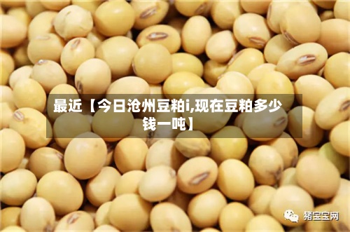 最近【今日沧州豆粕i,现在豆粕多少钱一吨】-第2张图片