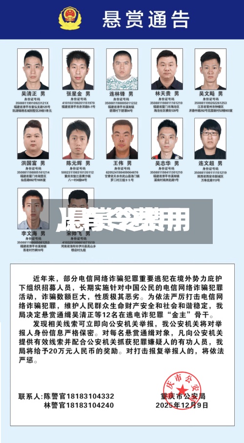 【有令费用
,悬赏令费用
】