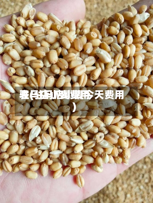驻马店小麦费用
表(驻马店小麦今天费用
)-第2张图片
