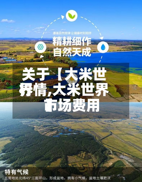 关于【大米世界
行情,大米世界
市场费用
】