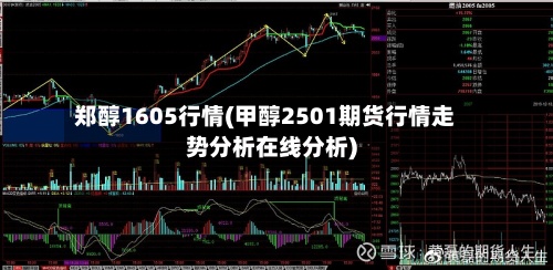 郑醇1605行情(甲醇2501期货行情走势分析在线分析)