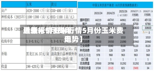 近来
【玉米5月费用
最新行情玉米行情5月份玉米费用
走势】-第2张图片
