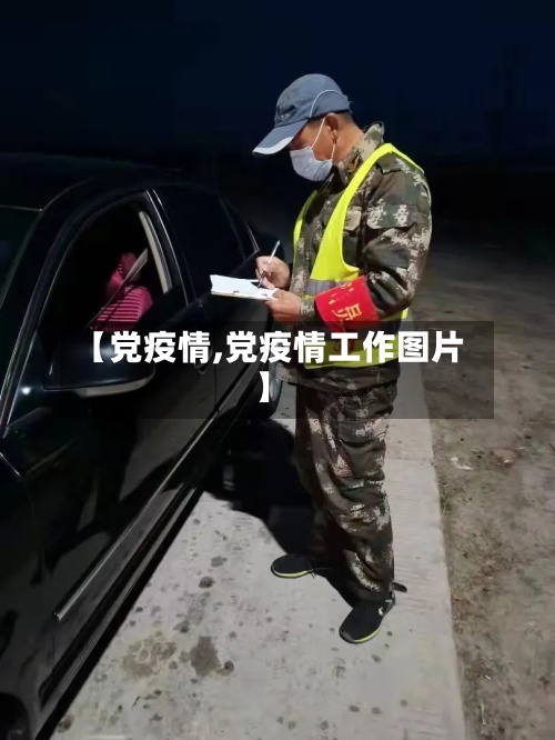 【党疫情,党疫情工作图片】