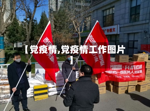 【党疫情,党疫情工作图片】-第2张图片