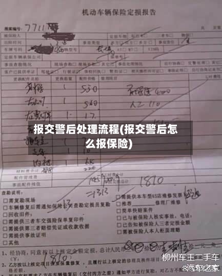报交警后处理流程(报交警后怎么报保险)-第3张图片
