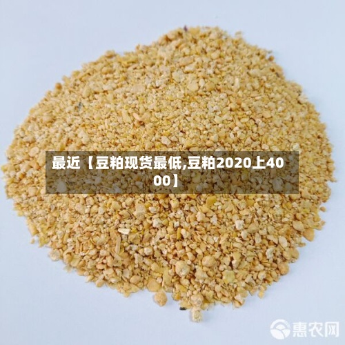最近【豆粕现货最低,豆粕2020上4000】