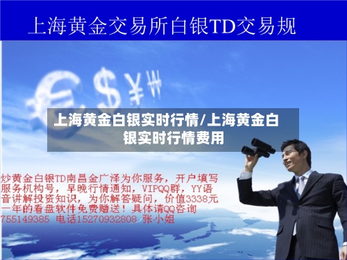 上海黄金白银实时行情/上海黄金白银实时行情费用