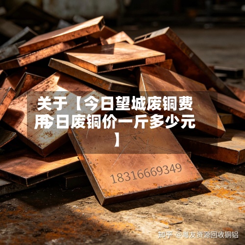 关于【今日望城废铜费用
,今日废铜价一斤多少元】