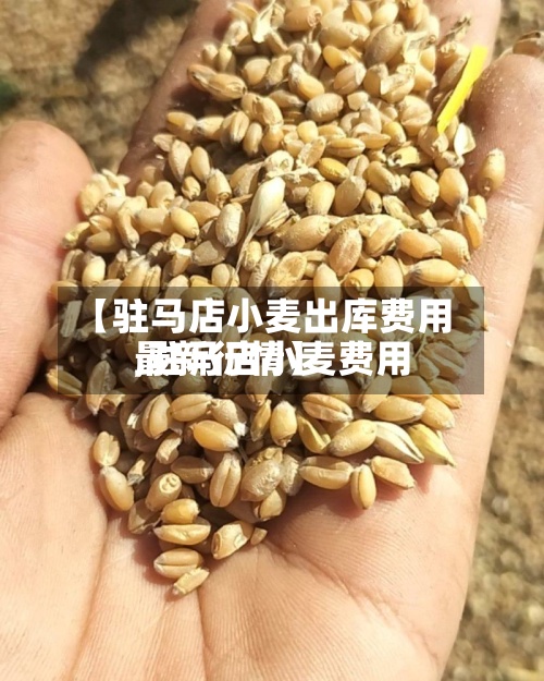 【驻马店小麦出库费用
,驻马店小麦费用
最新行情】