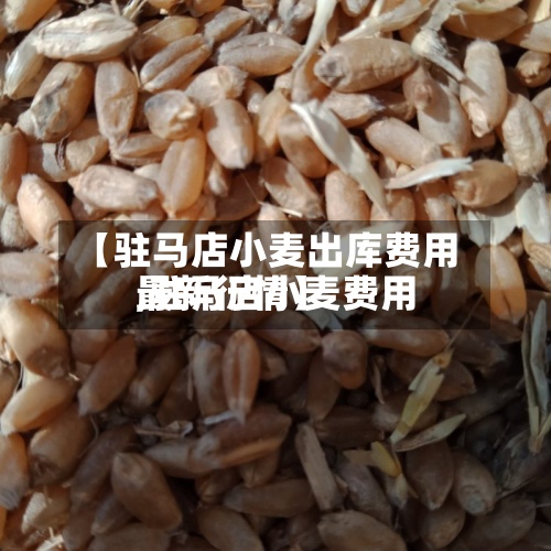 【驻马店小麦出库费用
,驻马店小麦费用
最新行情】-第2张图片