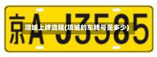 项城上牌流程(项城的车牌号是多少)-第2张图片