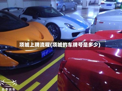 项城上牌流程(项城的车牌号是多少)