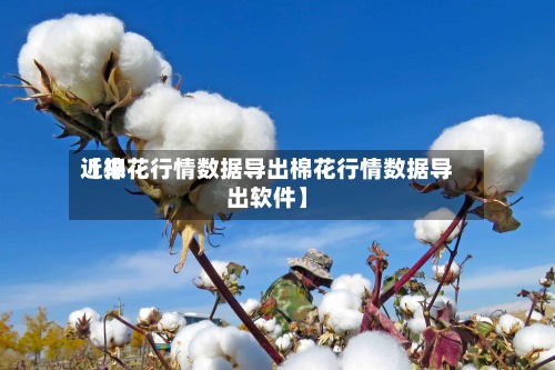 近来【棉花行情数据导出棉花行情数据导出软件】
