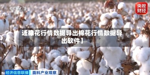 近来
【棉花行情数据导出棉花行情数据导出软件】-第2张图片