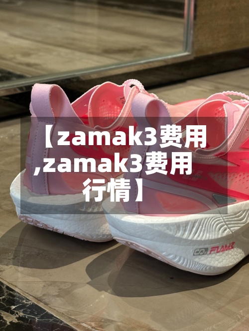 【zamak3费用,zamak3费用行情】-第3张图片