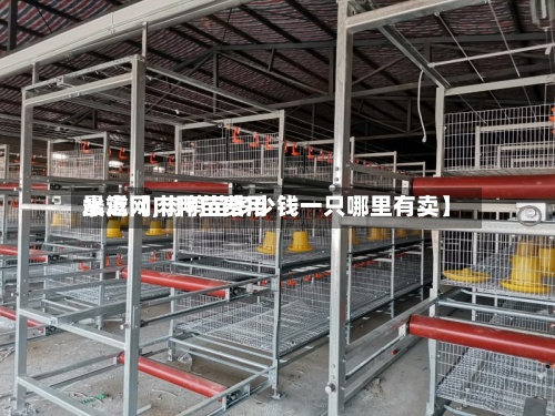 最近【肉鸭苗费用
水禽网,肉鸭苗多少钱一只哪里有卖】-第2张图片
