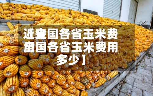 近来
【全国各省玉米费用
全国各省玉米费用
多少】-第2张图片
