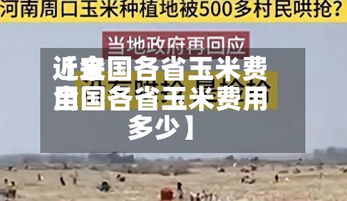 近来
【全国各省玉米费用
全国各省玉米费用
多少】-第3张图片