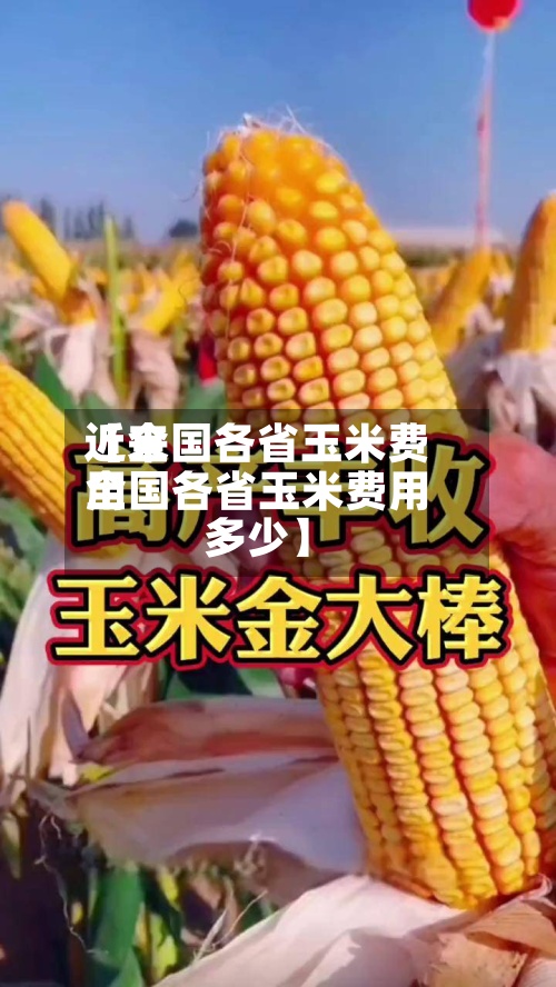 近来
【全国各省玉米费用
全国各省玉米费用
多少】