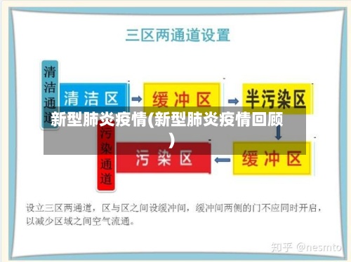 新型肺炎疫情(新型肺炎疫情回顾)-第3张图片