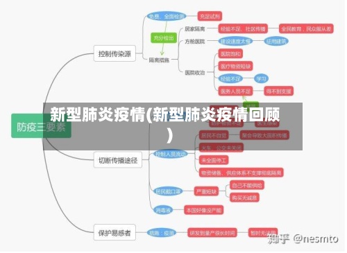 新型肺炎疫情(新型肺炎疫情回顾)