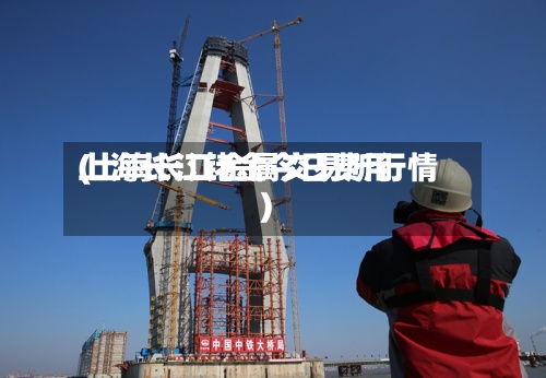 上海长江铑金今日费用(上海长江金属交易所行情)-第3张图片