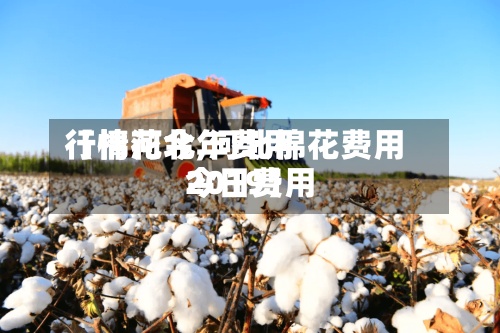 【棉花今年费用
行情河北,河北棉花费用
今日费用
2019】-第3张图片