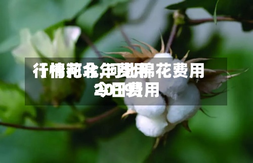 【棉花今年费用
行情河北,河北棉花费用
今日费用
2019】-第2张图片