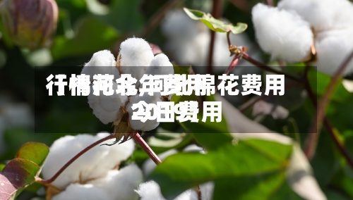 【棉花今年费用
行情河北,河北棉花费用
今日费用
2019】