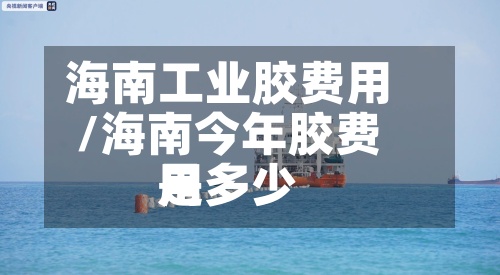 海南工业胶费用/海南今年胶费用是多少