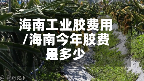 海南工业胶费用
/海南今年胶费用
是多少-第2张图片