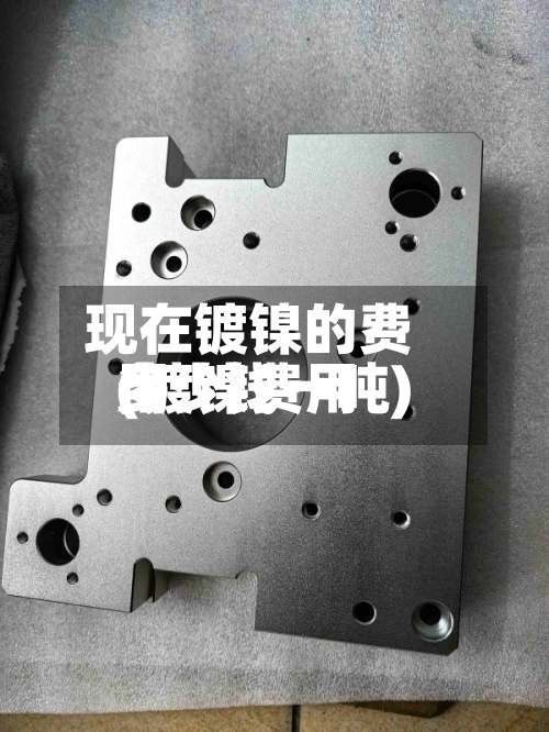 现在镀镍的费用
(镀镍费用
多少钱一吨)