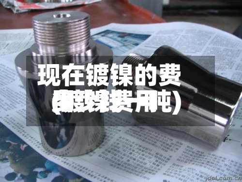 现在镀镍的费用(镀镍费用多少钱一吨)-第2张图片