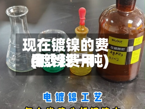 现在镀镍的费用(镀镍费用多少钱一吨)-第3张图片