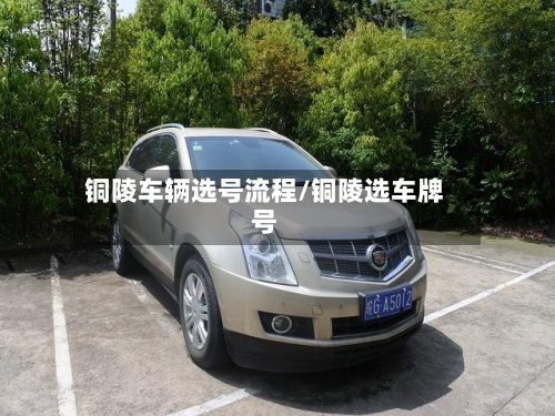 铜陵车辆选号流程/铜陵选车牌号