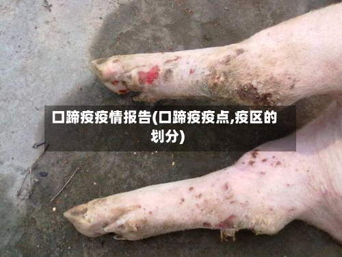 口蹄疫疫情报告(口蹄疫疫点,疫区的划分)-第3张图片