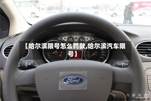 【哈尔滨限号怎么罚款,哈尔滨汽车限号】-第2张图片