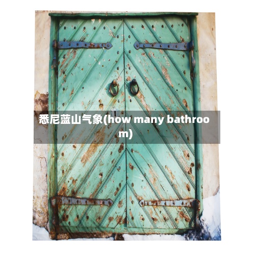 悉尼蓝山气象(how many bathroom)