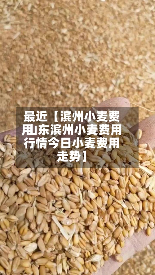 最近【滨州小麦费用
,山东滨州小麦费用
行情今日小麦费用
走势】-第2张图片