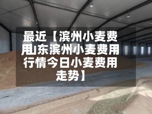 最近【滨州小麦费用
,山东滨州小麦费用
行情今日小麦费用
走势】