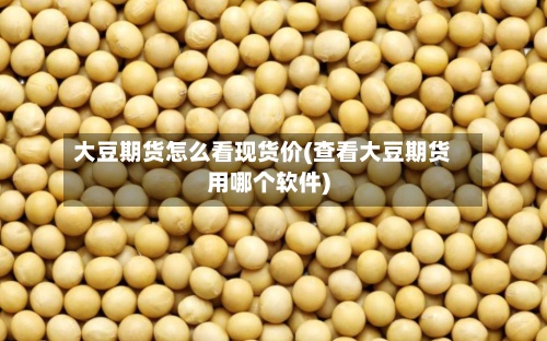大豆期货怎么看现货价(查看大豆期货用哪个软件)