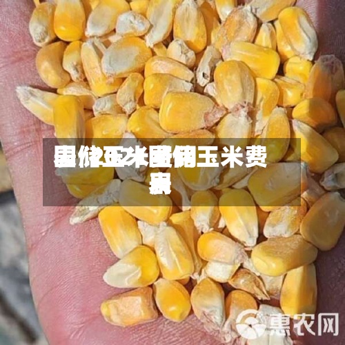 国储玉米费用
表/2021国储玉米费用
表
