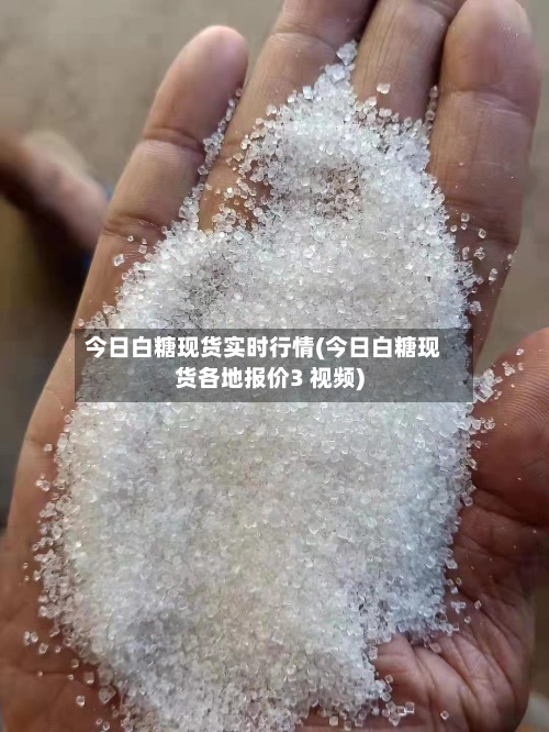 今日白糖现货实时行情(今日白糖现货各地报价3 视频)-第2张图片